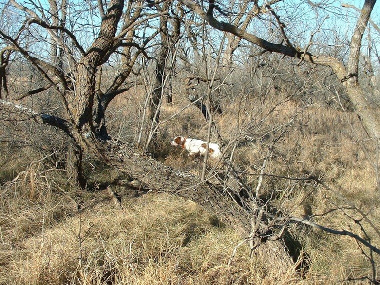 Name:  DSCF0004.jpg
Views: 258
Size:  290.5 KB