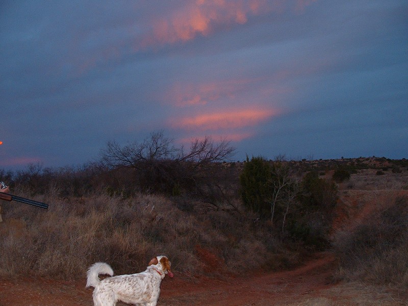 Name:  DSCF0027.jpg
Views: 301
Size:  117.1 KB
