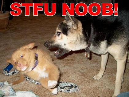 Name:  noob.jpg
Views: 218
Size:  30.6 KB