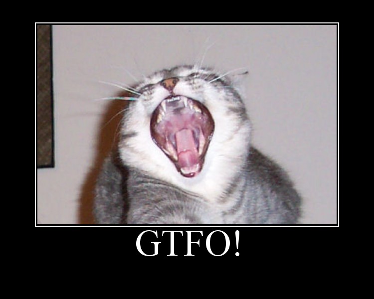 Name:  cat.jpg
Views: 329
Size:  52.3 KB