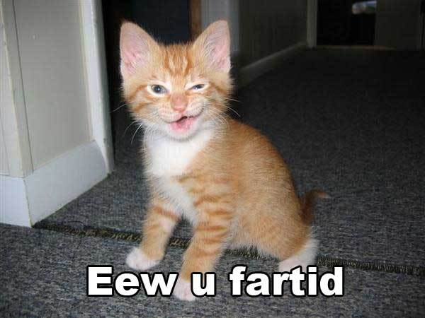 Name:  cat3.jpg
Views: 299
Size:  35.0 KB