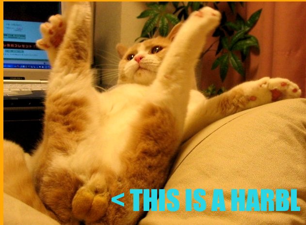 Name:  cat8.jpg
Views: 350
Size:  59.4 KB
