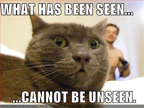 Name:  catseen.jpg
Views: 353
Size:  38.2 KB