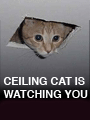 Name:  ceiling_cat.gif
Views: 358
Size:  8.5 KB