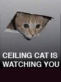 Name:  ceiling_cat.gif
Views: 437
Size:  8.5 KB