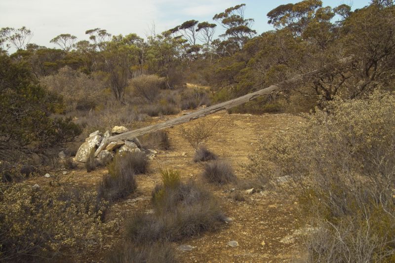 Name:  TRIP HOME FROM MELBOURNE REV 1  IMG04465.jpg
Views: 443
Size:  117.1 KB