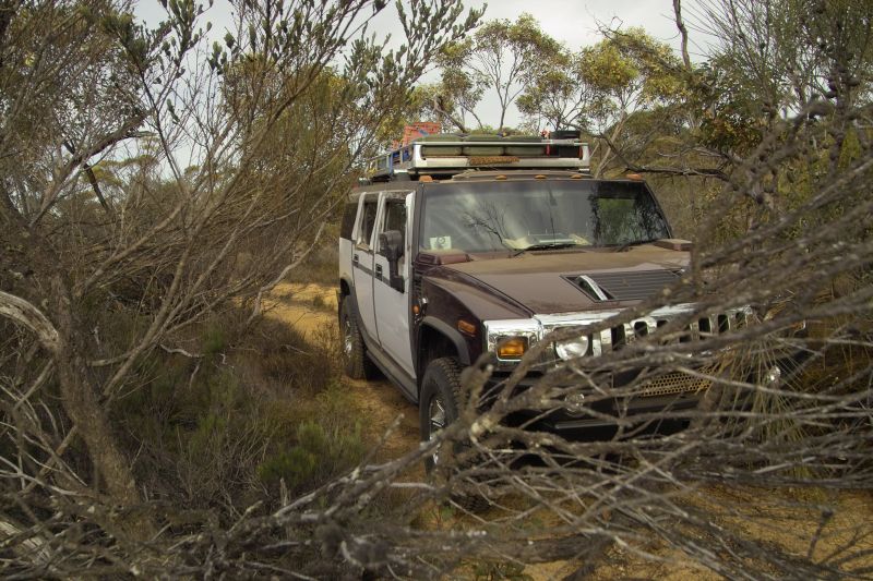 Name:  TRIP HOME FROM MELBOURNE REV 1  IMG04470.jpg
Views: 455
Size:  129.0 KB
