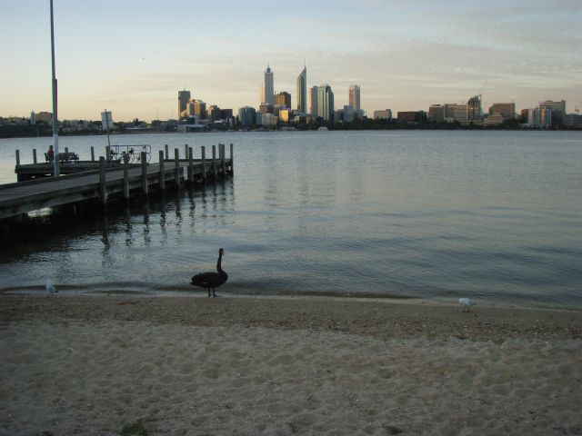 Name:  48 SOUTH PERTH FORESHORE REV 1 P2270582.jpg
Views: 423
Size:  57.3 KB