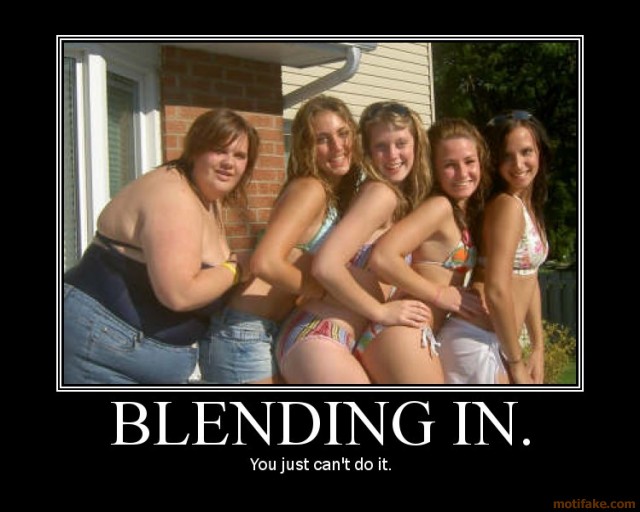 Name:  blending_in.jpg
Views: 314
Size:  61.5 KB