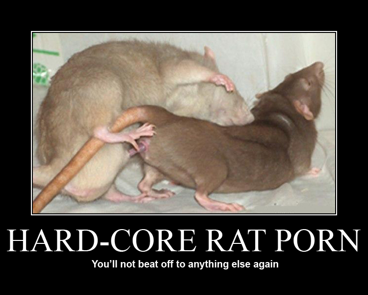Name:  rat_pron.jpg
Views: 303
Size:  167.6 KB