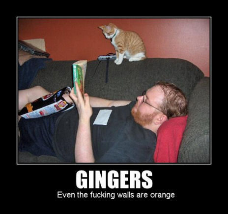 Name:  gingers.jpg
Views: 329
Size:  38.2 KB