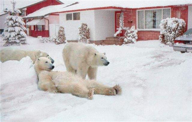 Name:  Canadian Home Security.jpg
Views: 315
Size:  35.3 KB