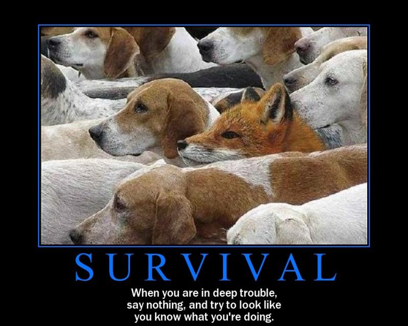 Name:  survival.jpg
Views: 7712
Size:  72.0 KB