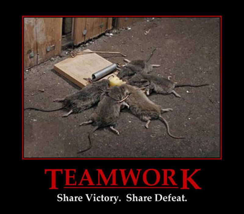 Name:  teamwork.jpg
Views: 5777
Size:  65.1 KB