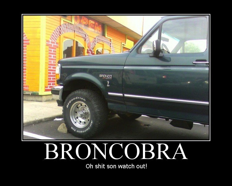 Name:  boncobra.jpg
Views: 5553
Size:  69.0 KB