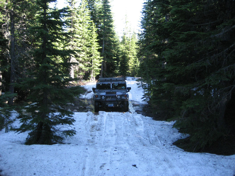 Name:  IMG_0507.jpg
Views: 1463
Size:  145.6 KB