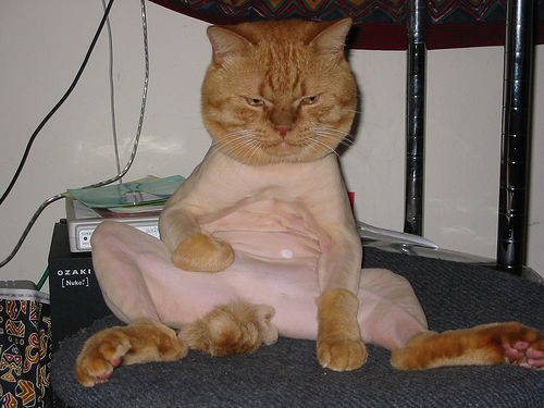 Name:  shaven-pussy.jpg
Views: 1060
Size:  57.6 KB