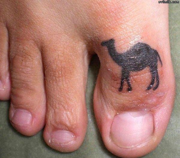 Name:  cameltoexu5.jpg
Views: 5731
Size:  50.0 KB
