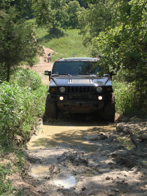 Name:  CIMG0454.JPG
Views: 995
Size:  267.0 KB