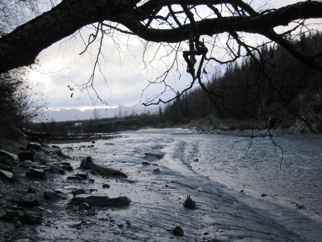Name:  IMG_0636.JPG
Views: 1006
Size:  148.6 KB