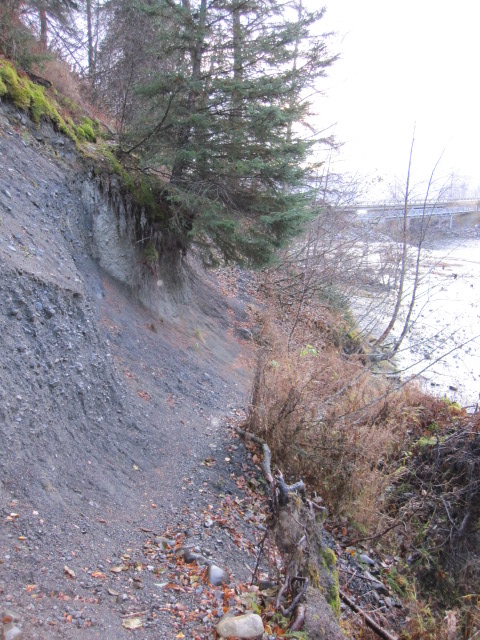 Name:  IMG_0644.JPG
Views: 794
Size:  170.5 KB