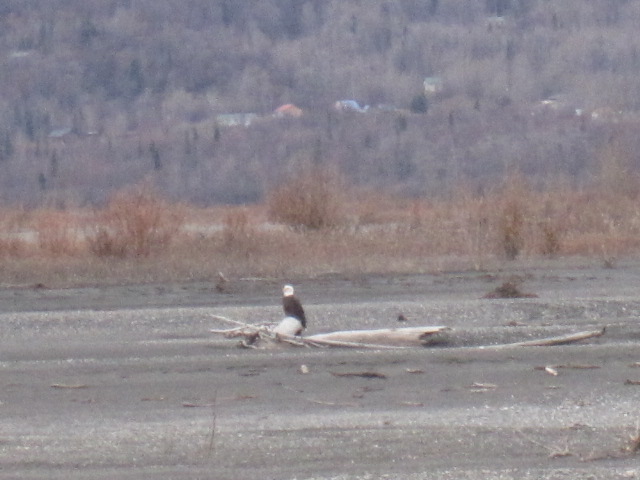 Name:  IMG_0673.JPG
Views: 332
Size:  88.3 KB