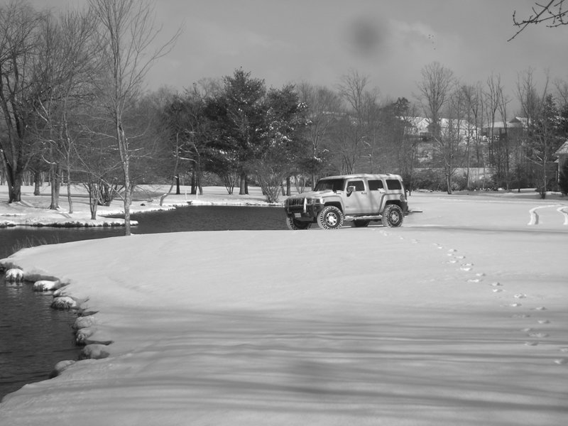 Name:  Hummer in snow 10.JPG
Views: 504
Size:  89.0 KB