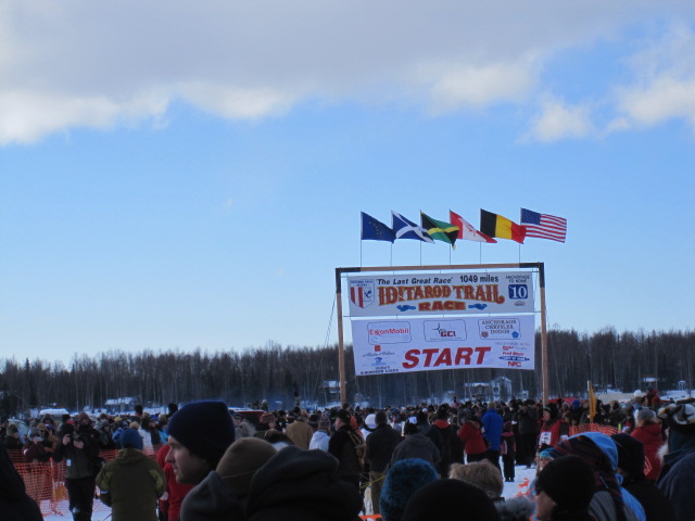 Name:  IMG_0834.JPG
Views: 551
Size:  80.7 KB