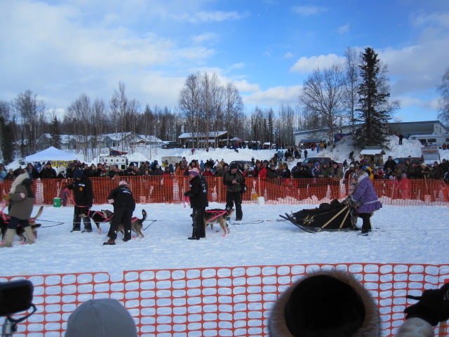 Name:  IMG_0840.JPG
Views: 508
Size:  140.9 KB