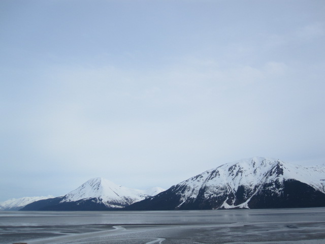 Name:  IMG_0952.JPG
Views: 412
Size:  54.2 KB