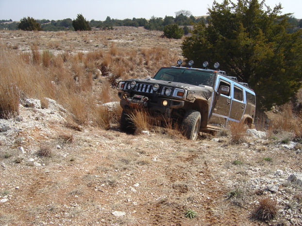 Name:  ChainRanch3_2006%2520020s.jpg
Views: 1641
Size:  127.7 KB