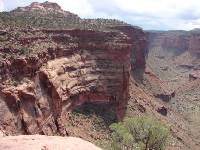 Name:  John Flat Iron Mesa 2007 048.jpg
Views: 1564
Size:  143.5 KB