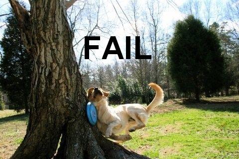 Name:  dog fail.JPG
Views: 200
Size:  45.6 KB
