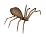 Name:  spider204.gif
Views: 709
Size:  9.7 KB
