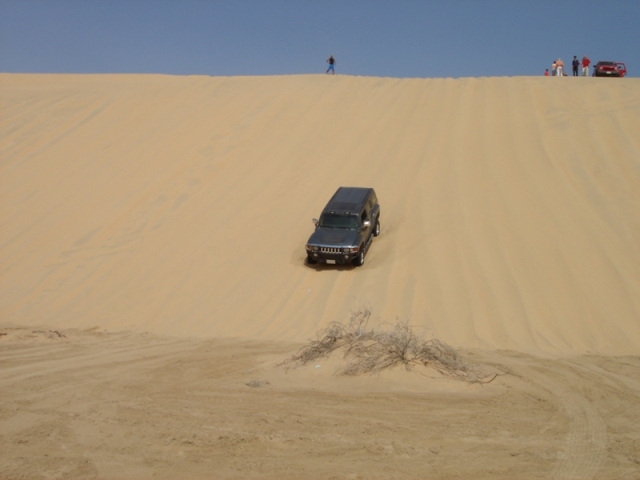 Name:  40m dune.JPG
Views: 809
Size:  125.5 KB