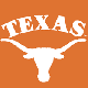 Longhorn's Avatar